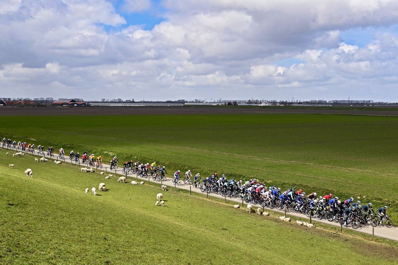 Scheldeprijs 2021 - 109th Edition - Terneuzen - Schoten 193,8 km - 07/04/2021 - Scenery - photo Peter De Voecht/PN/BettiniPhoto&Acirc;&copy;2021