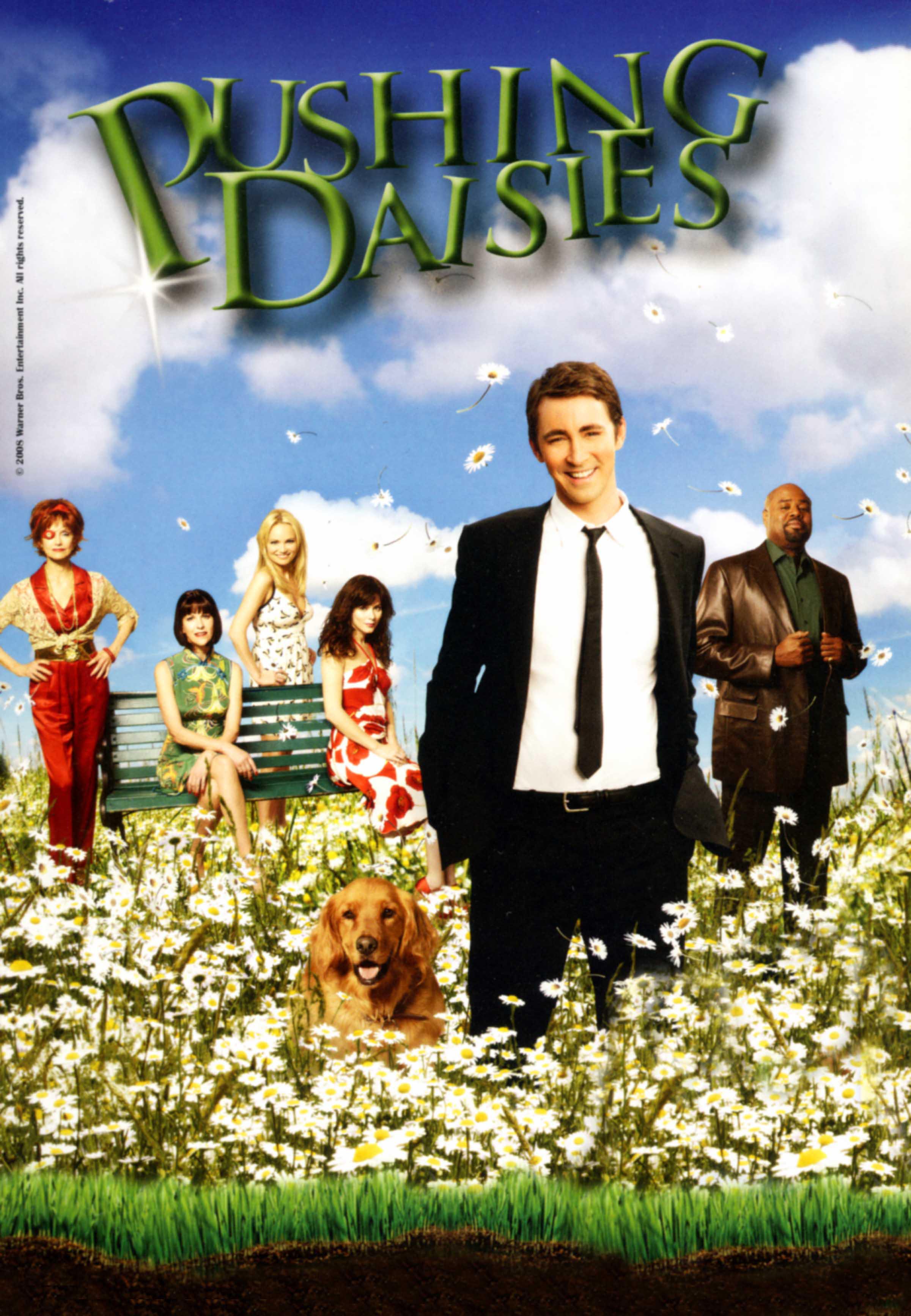underrated tv pushing daisies