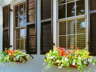 small front garden ideas: flowers in window boxes