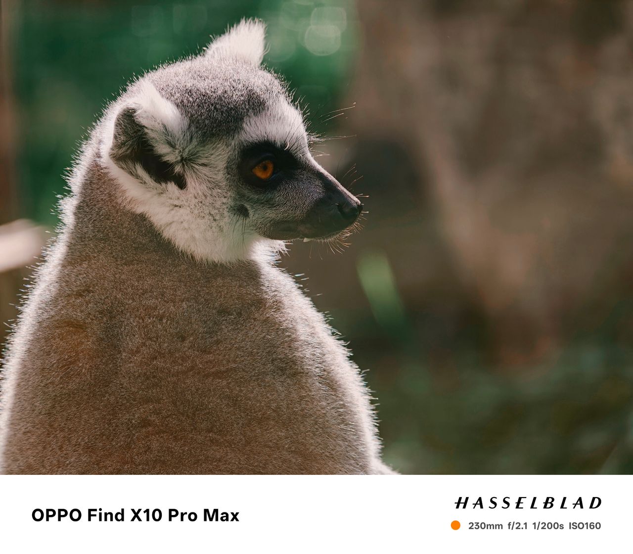 Sample photo taken on the Oppo Find X10 Pro Max