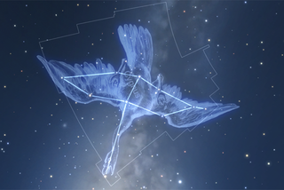 Cygnus in Star Chart for VR