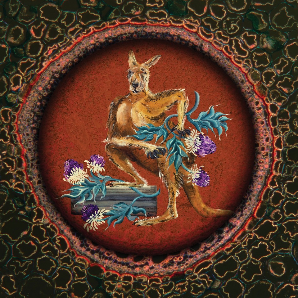 Cardiacs LSD cover art