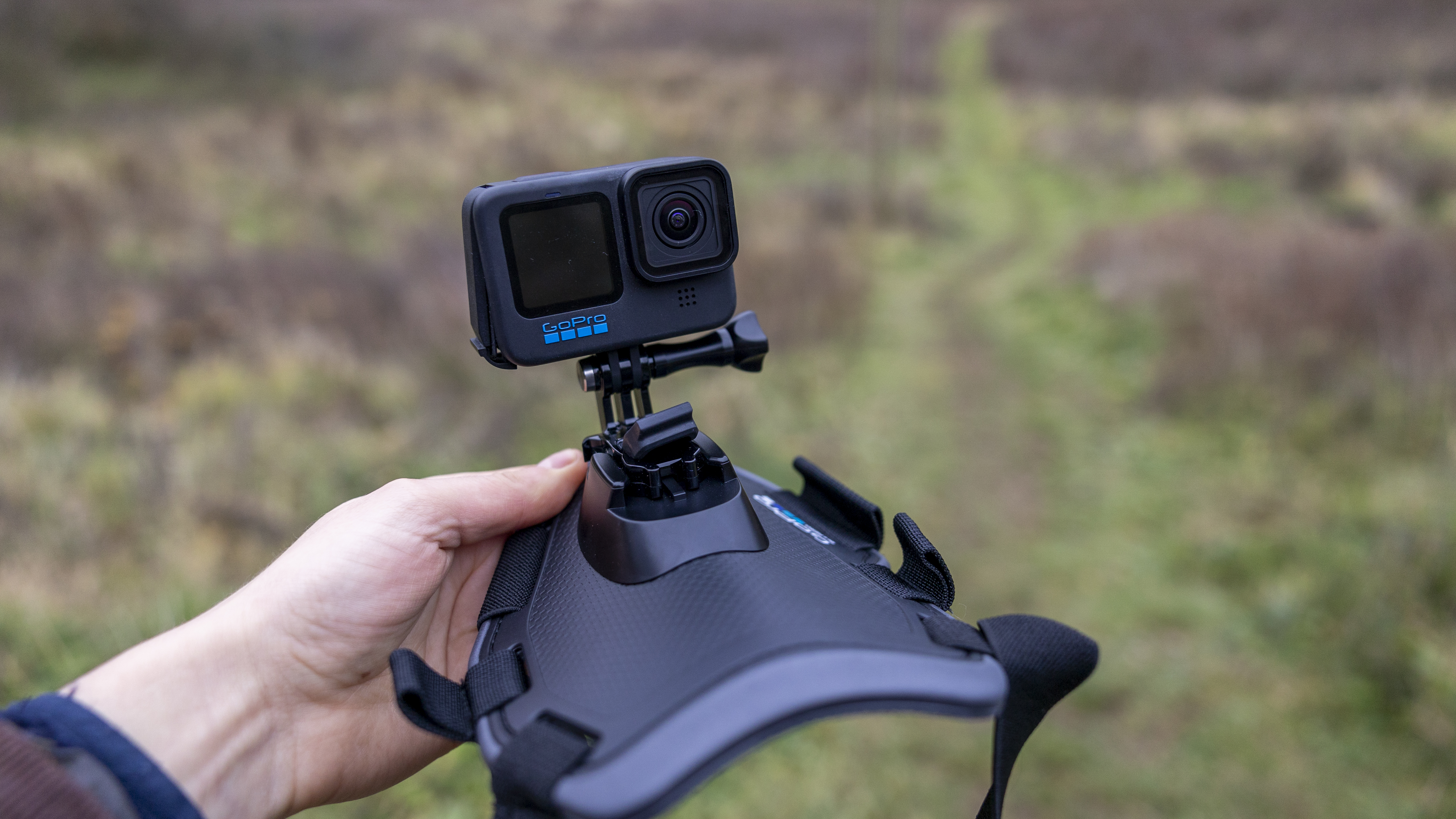 The GoPro Fetch Harness held in a woman's hands