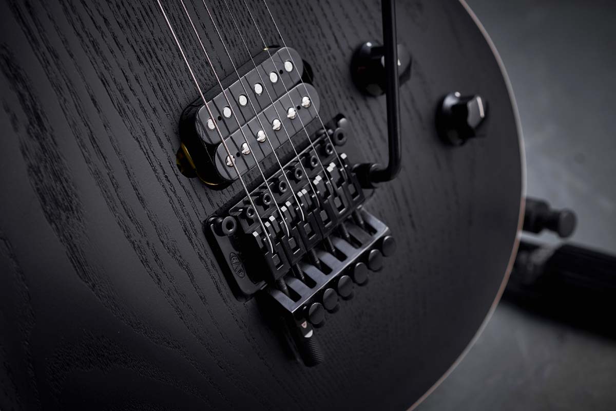 EVH Wolfgang Special Sassafras