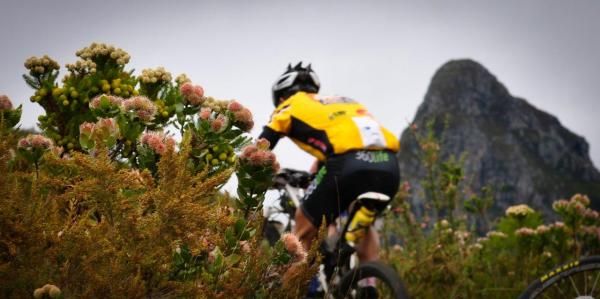 Kevin Evans rides past a protea in the mountains above Riversdal