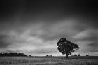 Canon EOS 5D Mark IV sample images
