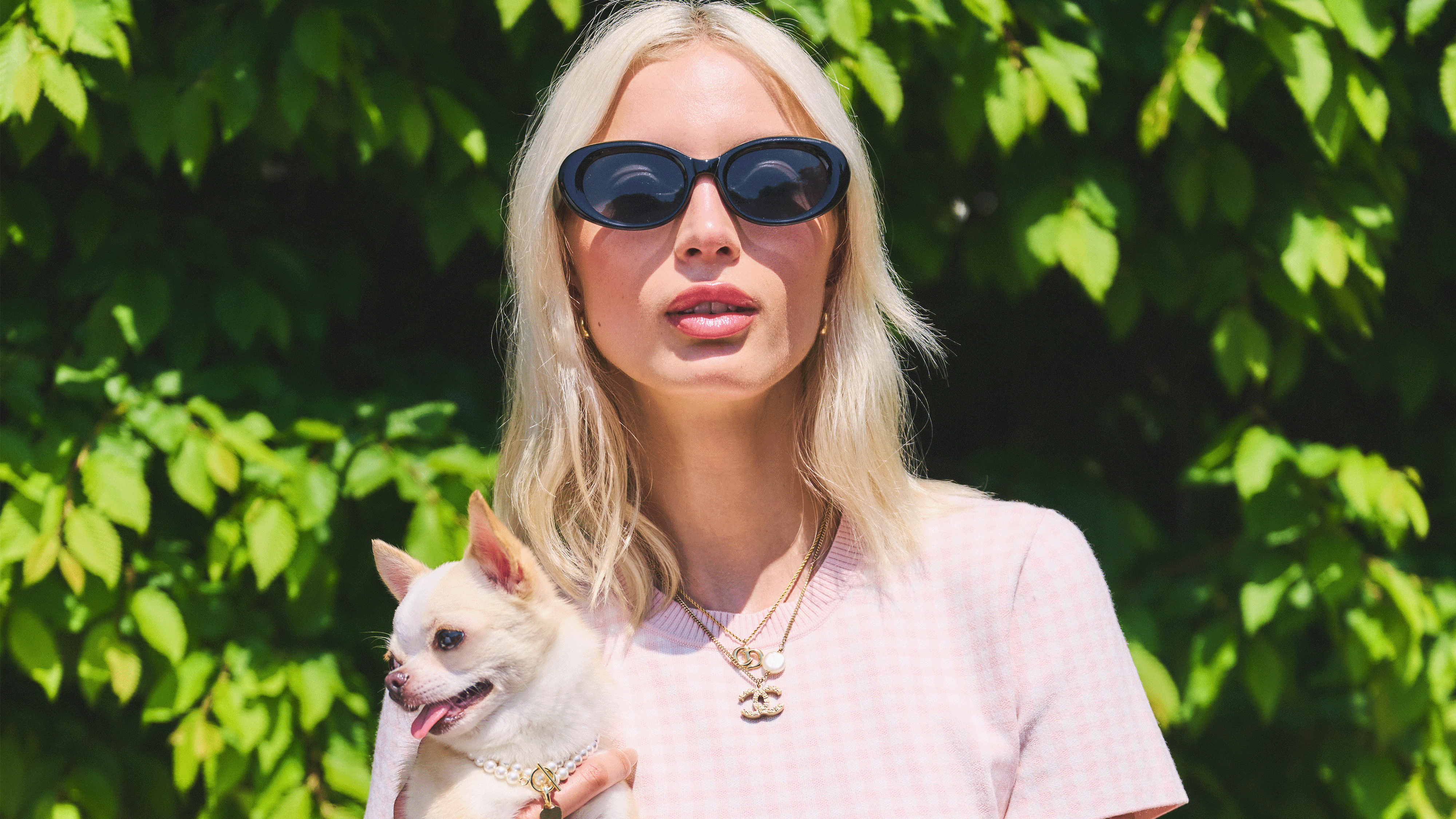 If You Love Elle Woods's Style, This Shopbop Capsule Collection Is for You