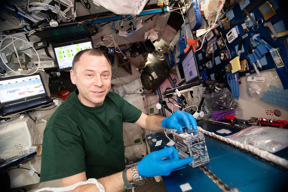 Astronauts Successfully Demonstrate DNA Repair In Space Using CRISPR ...