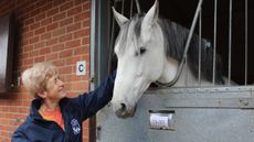 Dr Sue Dyson with horse at Animal Health Trust
