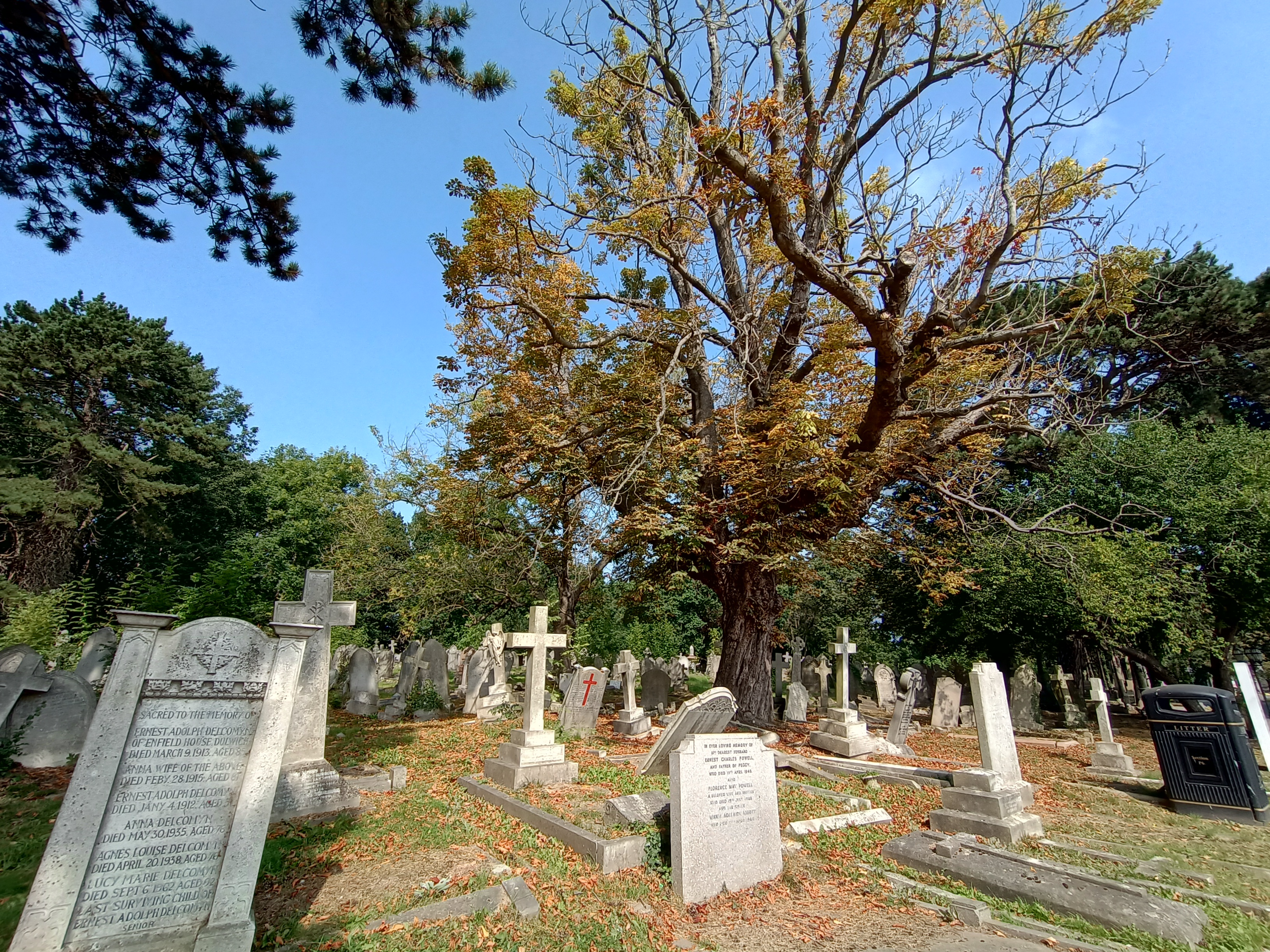 An ultra-wide photo of a graveyard taken by the Motorola Edge 20 Lite