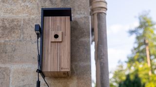 The Birdfy Nest Duo feeder on a stone wall