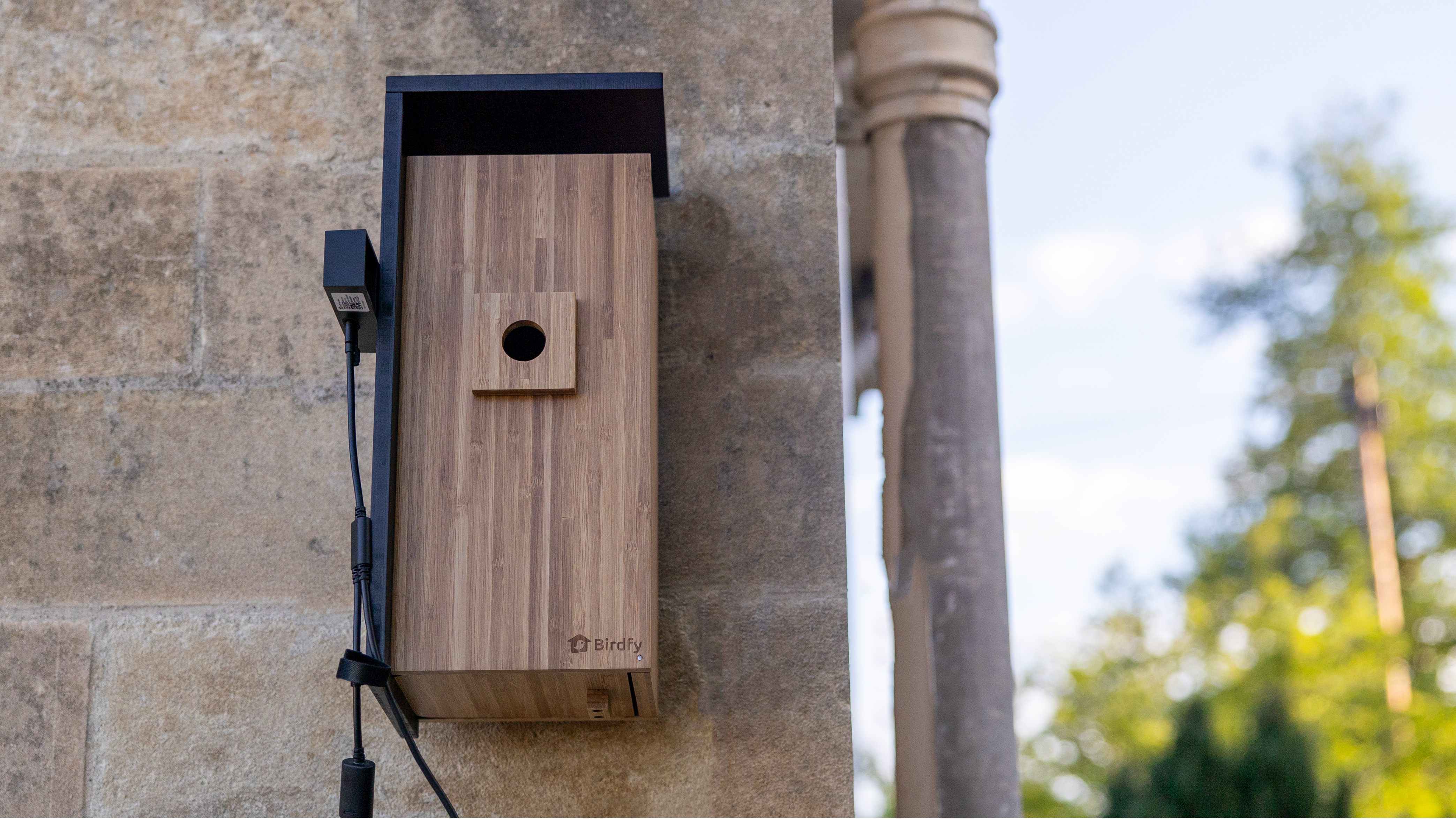 The Birdfy Nest Duo feeder on a stone wall