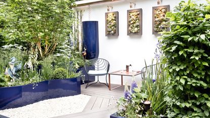 How to garden on a west-facing balcony