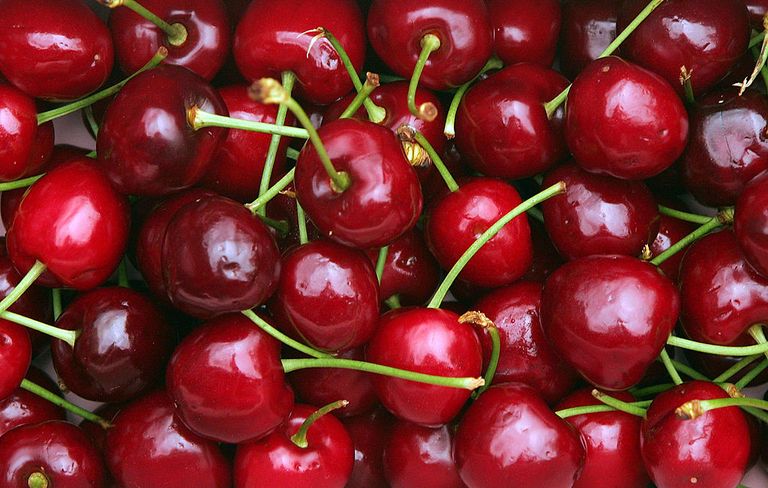 how to grow cherries