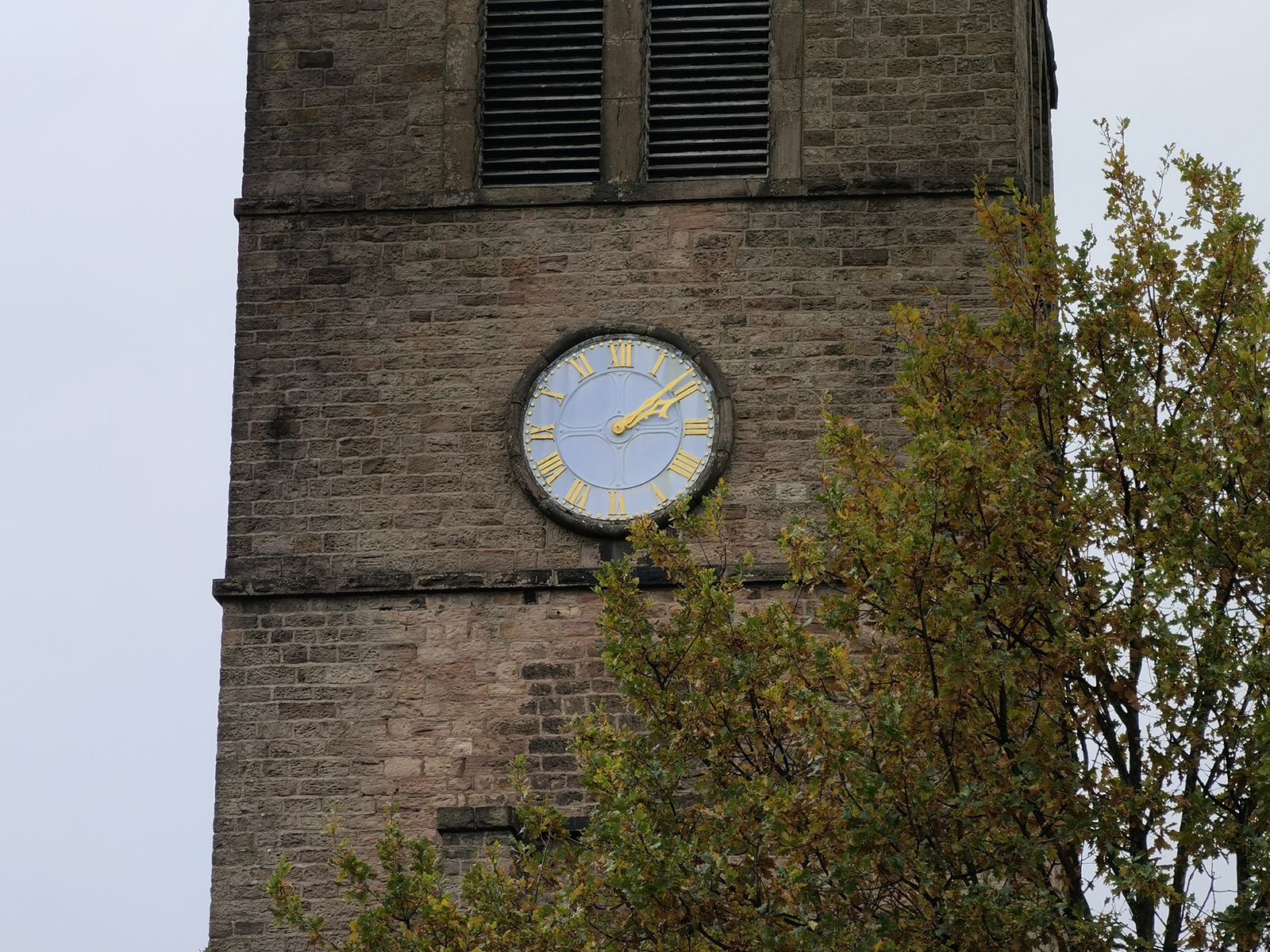 Huawei Mate 40 Pro camera sample