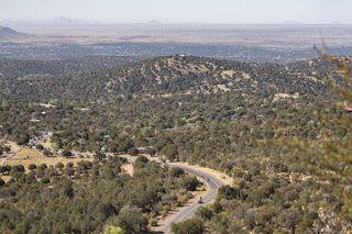 At just over 1km to go to the top of the first KOM, the climbers took to the front stringing out the field in the search for Polka-points.