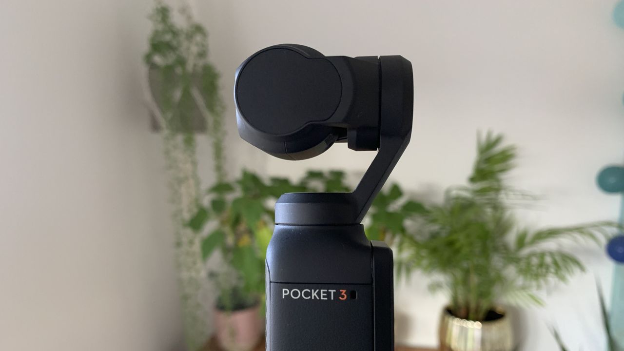 DJI Pocket 3 camera in a front room with indoor plants in the background