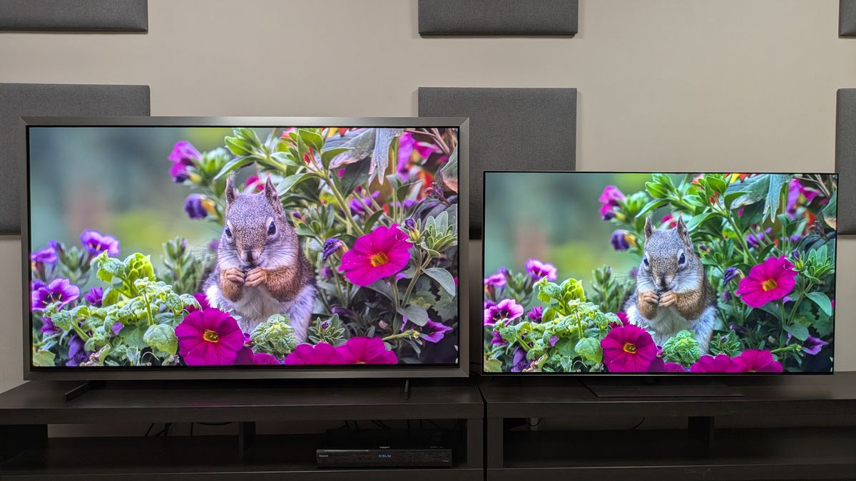 Photo of television, camera, network