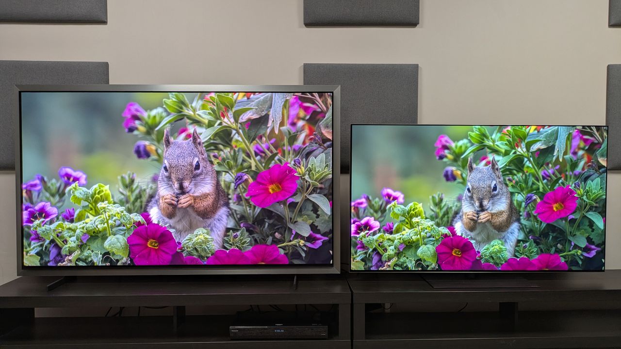 I tested Samsung and LG's best OLED TVs side-by-side, and we've never been more spoiled for choice
