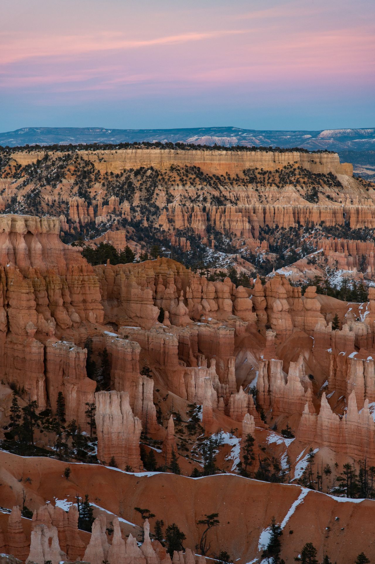 Nikon D780 review