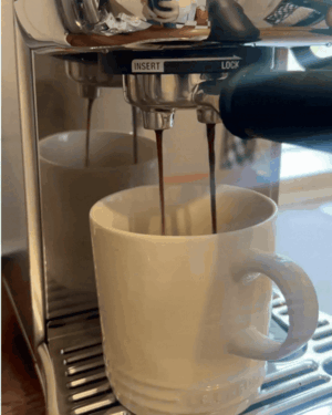 GIF of an espresso shot being brewed from a silver Sage Bambino Plus machine into a cream coffee mug.
