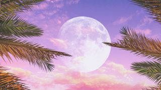 Sturgeon Moon: Idyllic picture taken from tropical beach with white sand with the sunset sky with full moon