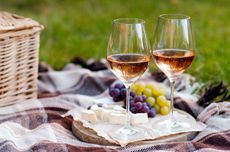 Two glasses of ros&eacute; wine with cheese and grapes on a plate in outdoor picnic scene
