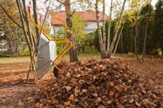 A garden strewn with autumn leaves with a wheelbarrow