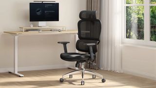 SIHOO M56C Ergonomic Office Chair 