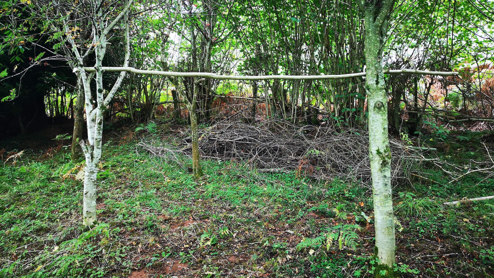 A ridge pole between two trees