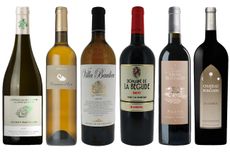 DWWA 2020 Top Provence wines: white & red