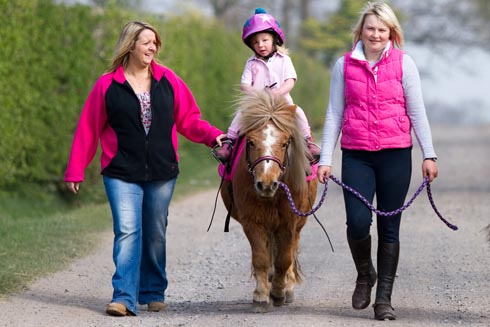 If you are looking for a new horse why not rehome one from World Horse welfare?
