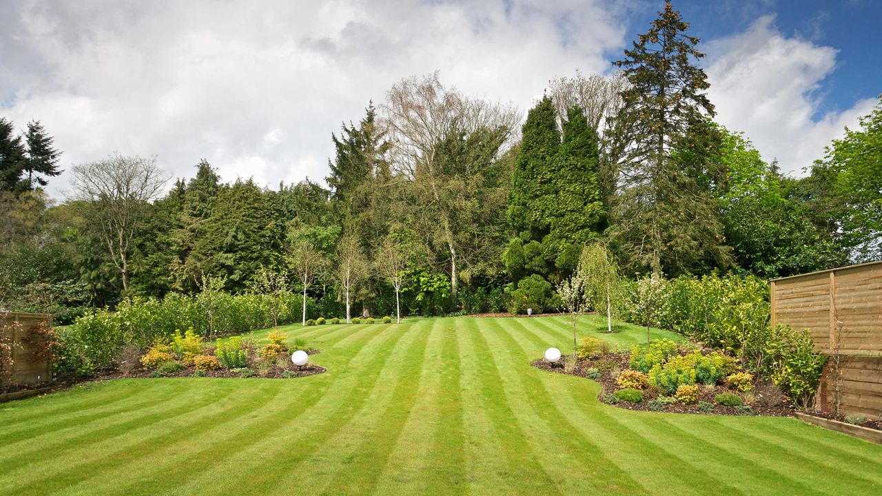 garden lawn stripes