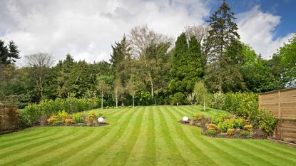 garden lawn stripes