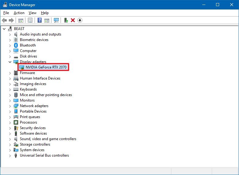 Device Manager display adapter information