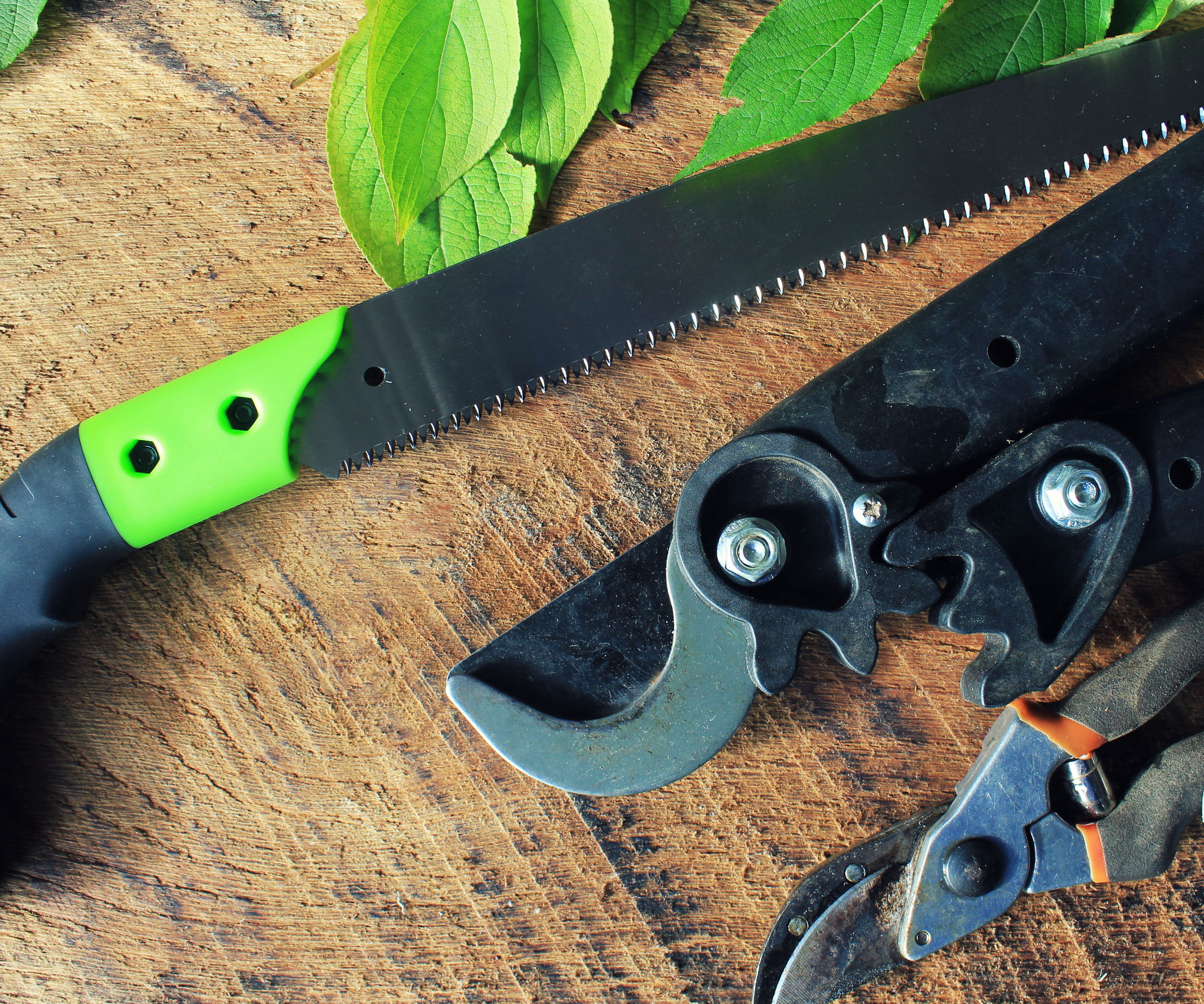 pruning tools with saw and secateurs on wooden surface