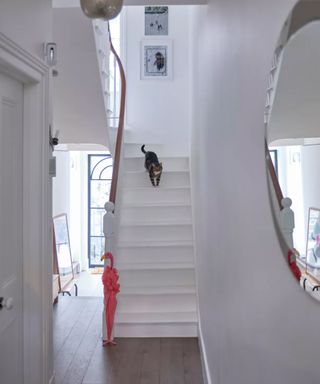 A bright hallway with a cat