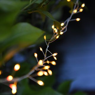 outdoor with tree light and fairy light