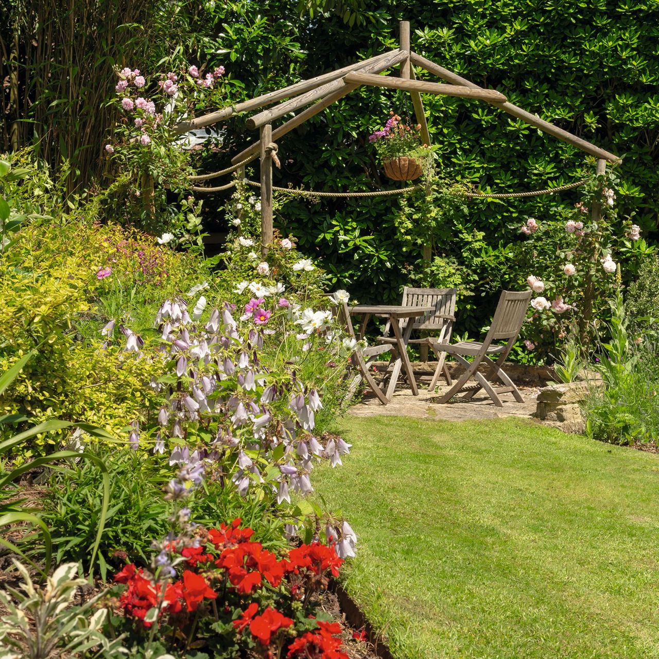 How to stop birds eating grass seed, according to experts Ideal Home