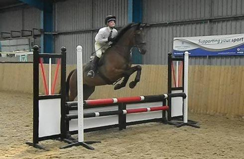 Chill Out Bob indoor jumping
