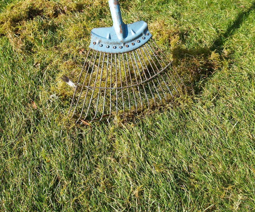 The best time to scarify a lawn according to the experts | Homebuilding
