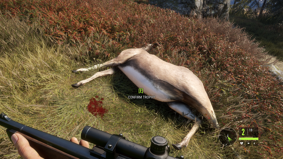 thehunter call of the wild boar location thehunter call of the wild boar location