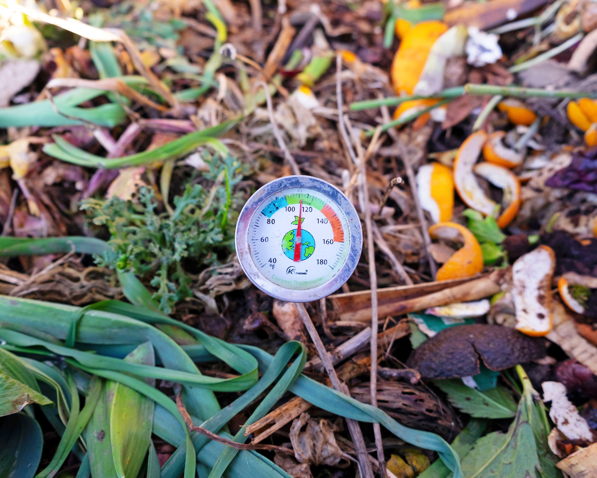 Compost heap thermometer closeup