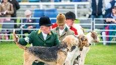 judging in the welsh ring (3)