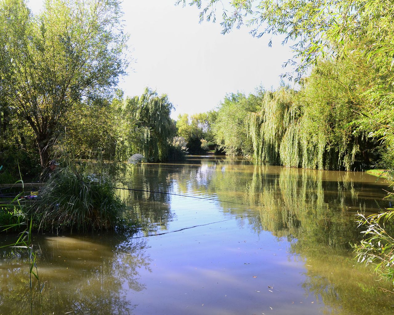 natural swimming pool