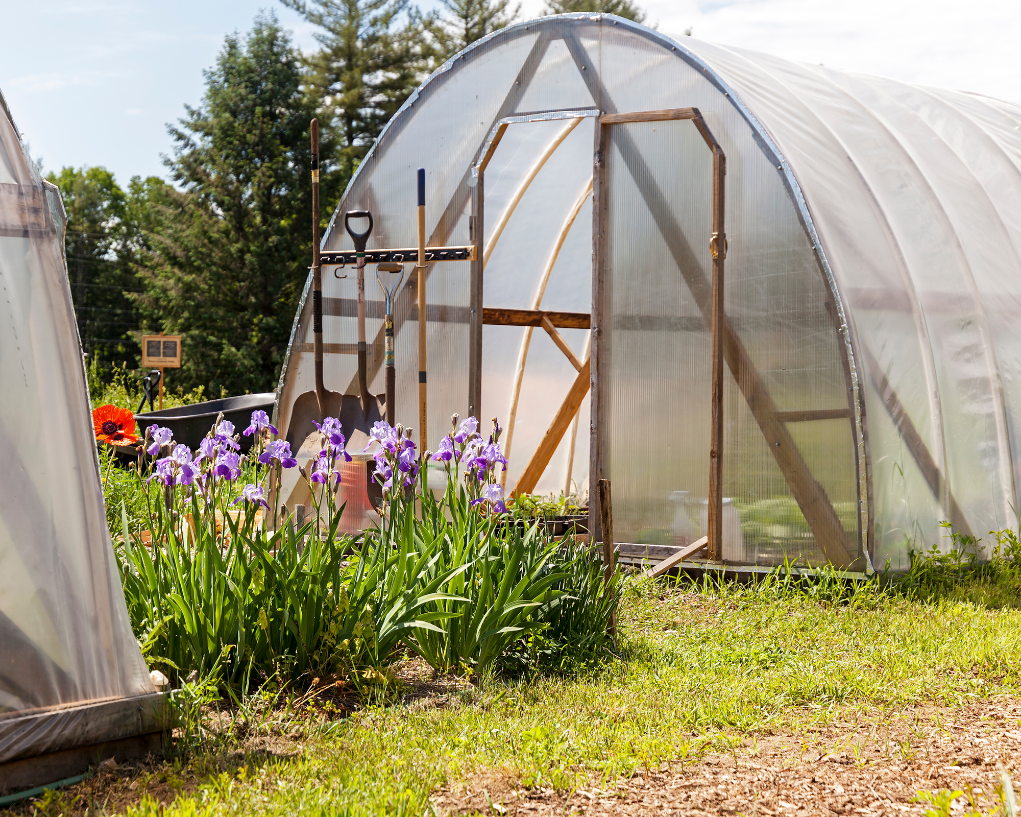 Hoop house green house tunnel