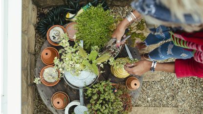 How to be more sustainable: a woman watering her plants in her garden