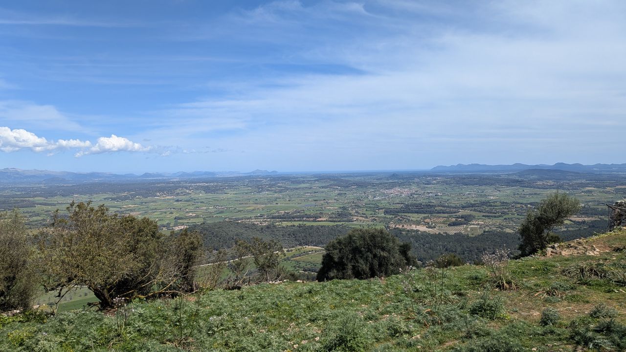 Google Pixel 9a review sample image