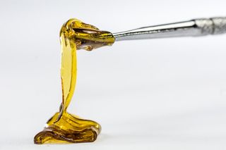 Butane hash oil is a highly-potent form of marijuana.