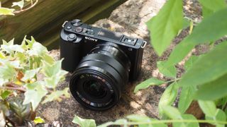 The best travel camera the Sony ZV-E10 sitting on a wall behind some leaves